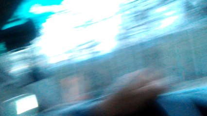 Bears on Russian Highway