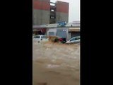 أمطار طوفانية تجرف السيارات بحي التضامن