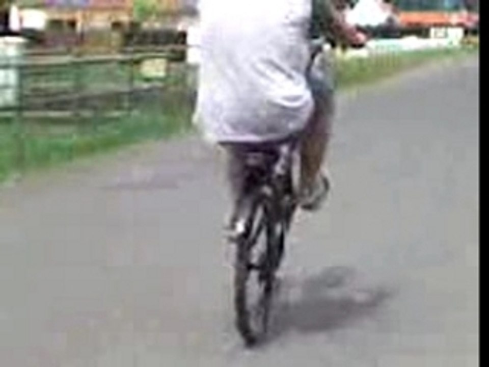 Moi en wil