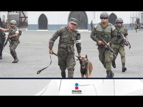 Soldado mexicano mata a su superior | Imagen Noticias con Ciro Gómez Leyva