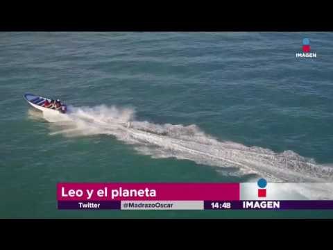 Leonardo DiCaprio reaccionó a mensaje de Trump | Imagen Noticias con Yuriria Sierra