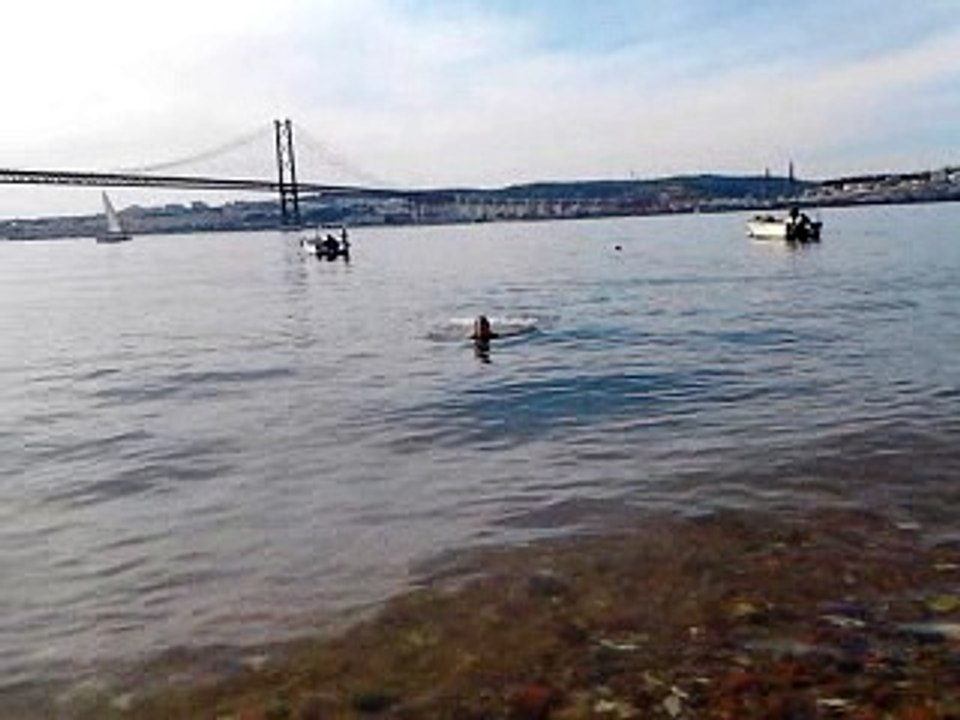 VID-20170521-WA0003