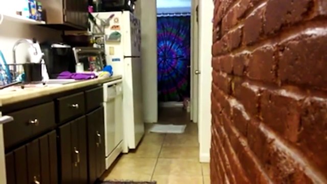 Funniest Animal Home Video Bloopers & Outtakes January 2017 | Funny Pet Videos