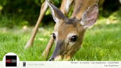 Terrain - à vendre - Lac-Supérieur - 22207880