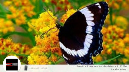 Terrain - à vendre - Lac-Supérieur - 9173726