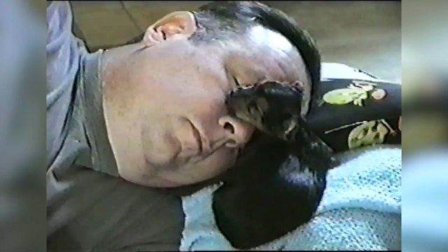 The Cutest Newborn Puppies & Kittens Weekly Compilation 2017 | Funny Pet Videos