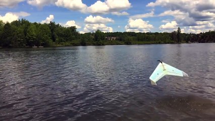 This Solar-Powered Drone Acts Like A Duck