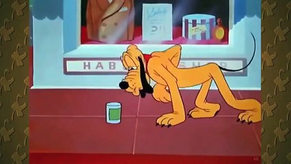 NEW Mickey Mouse & Pluto Dog  A Mouse's Best Friend  New Cartoon Collection Playlist