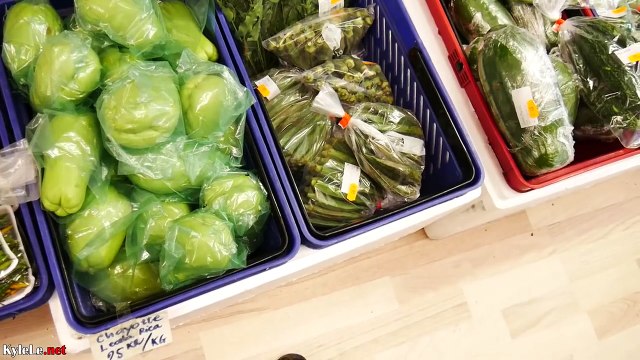 The Vietnamese in Denmark. Life and Food of Vietnamese Abroad Viet Kieu Dan Mach