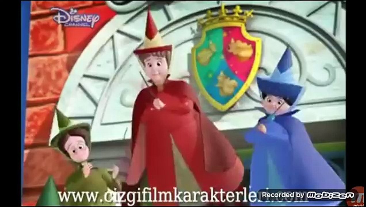 Prenses Sofia / akademide