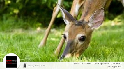 Terrain - à vendre - Lac-Supérieur - 27379661