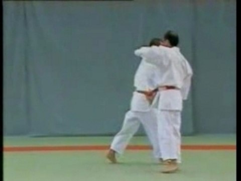 Goshin jitsu 3 dan