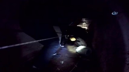 Menfezde Sıkışan İki Danayı İtfaiye Ekipleri Kurtardı