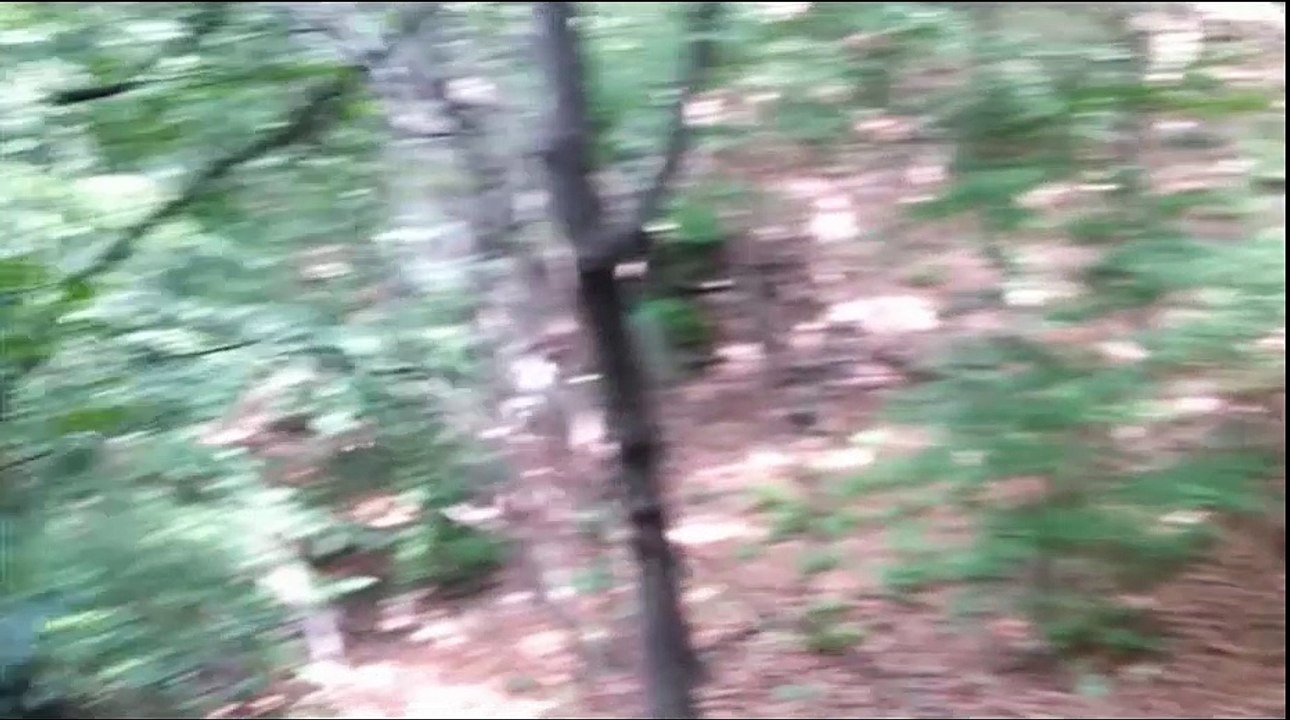 Metal Detecting Finds