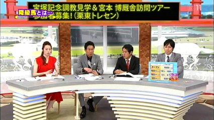夏競馬の降級馬の選び方