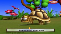 Tortoise | 3D animated nursery rhymes for kids with lyrics | popular animals rhyme for kids | tortoise song | Animal songs | Funny rhymes for kids | cartoon | 3D animation | Top rhymes of animals for children