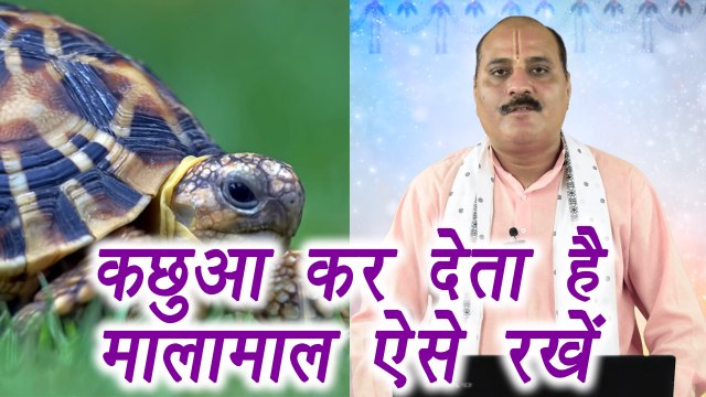 Importance of Tortoise in Vastu | वास्तु शास्त्र में कछुए का महत्व | कर देता है मालामाल | Boldsky