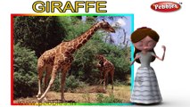 3d Dog Sex - Giraffe Sex Fail - video dailymotion