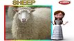 Sheep | 3D animated nursery rhymes for kids with lyrics | popular animals rhyme for kids | Sheep song | Animal songs | Funny rhymes for kids | cartoon | 3D animation | Top rhymes of animals for children