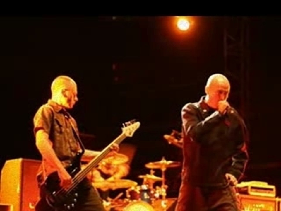 LOFOFORA MEMOIRE DE SINGES TROP