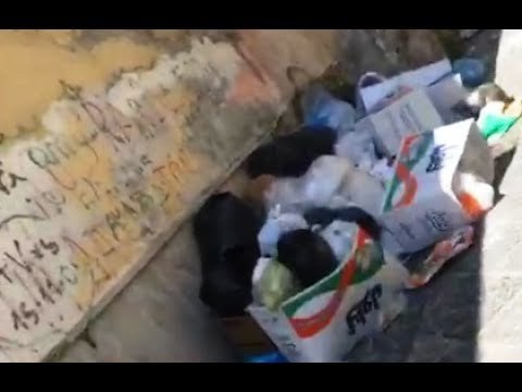 Aversa (CE) - Rifiuti in Via Riccardo d'Aversa (05.06.17)