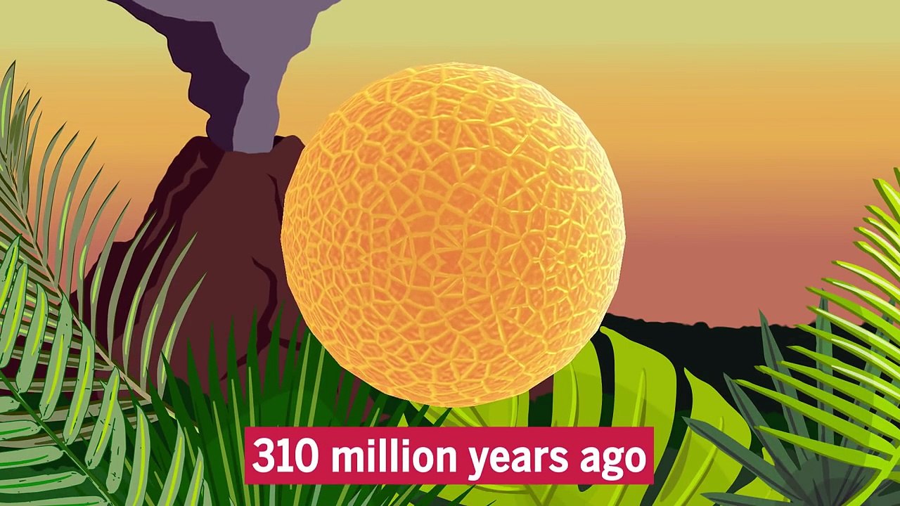 Pollen practically indestructible