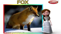 Fox | 3D animated nursery rhymes for kids with lyrics | popular animals rhyme for kids | Fox song | Animal songs | Funny rhymes for kids | cartoon | 3D animation | Top rhymes of animals for children