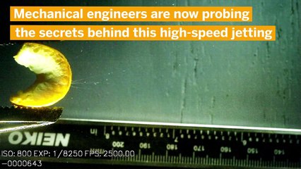 Why there’s no clean way to peel an orange