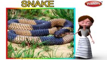 Snake | 3D animated nursery rhymes for kids with lyrics | popular animals rhyme for kids | Snake song | Animal songs | Funny rhymes for kids | cartoon | 3D animation | Top rhymes of animals for children