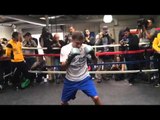 GGG Wilder Thurman Kovalev & Mikey garcia top ko punches in boxing