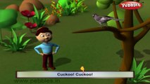 Cuckoo | 3D animated nursery rhymes for kids with lyrics | popular Birds rhyme for kids | Cuckoo song | bird songs | Funny rhymes for kids | cartoon | 3D animation | Top rhymes of bird for children