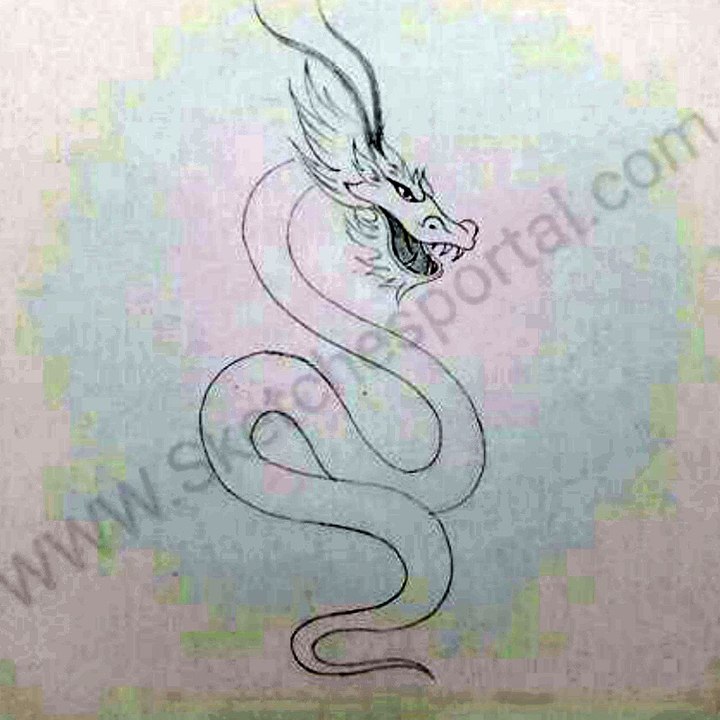How to Draw a Chinese Dragon In 14 Steps