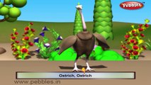 Ostrich | 3D animated nursery rhymes for kids with lyrics | popular Birds rhyme for kids | Ostrich song | bird songs | Funny rhymes for kids | cartoon | 3D animation | Top rhymes of bird for children