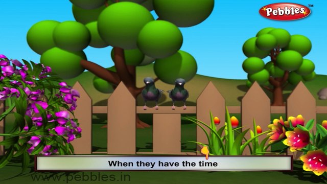 Pigeon | 3D animated nursery rhymes for kids with lyrics | popular Birds rhyme for kids | Pigeon song | bird songs | Funny rhymes for kids | cartoon | 3D animation | Top rhymes of bird for children