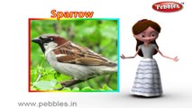 Sparrow | 3D animated nursery rhymes for kids with lyrics  | popular Birds rhyme for kids | Sparrow song | bird songs |  Funny rhymes for kids | cartoon  | 3D animation | Top rhymes of bird for children