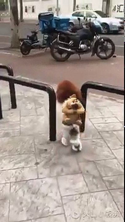 ptdrrrrrr j'ai cru que c'était une petite fille