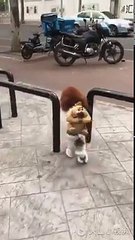 ptdrrrrrr j'ai cru que c'était une petite fille