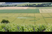 Un crop circle à Crézancy-en-Sancerre