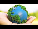 El día mundial del medio ambiente