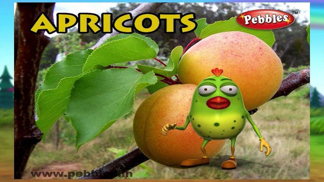 Apricots | 3D animated nursery rhymes for kids with lyrics | popular Fruits rhyme for kids | apricots song | fruits songs | Funny rhymes for kids | cartoon | 3D animation | Top rhymes of Fruits for children
