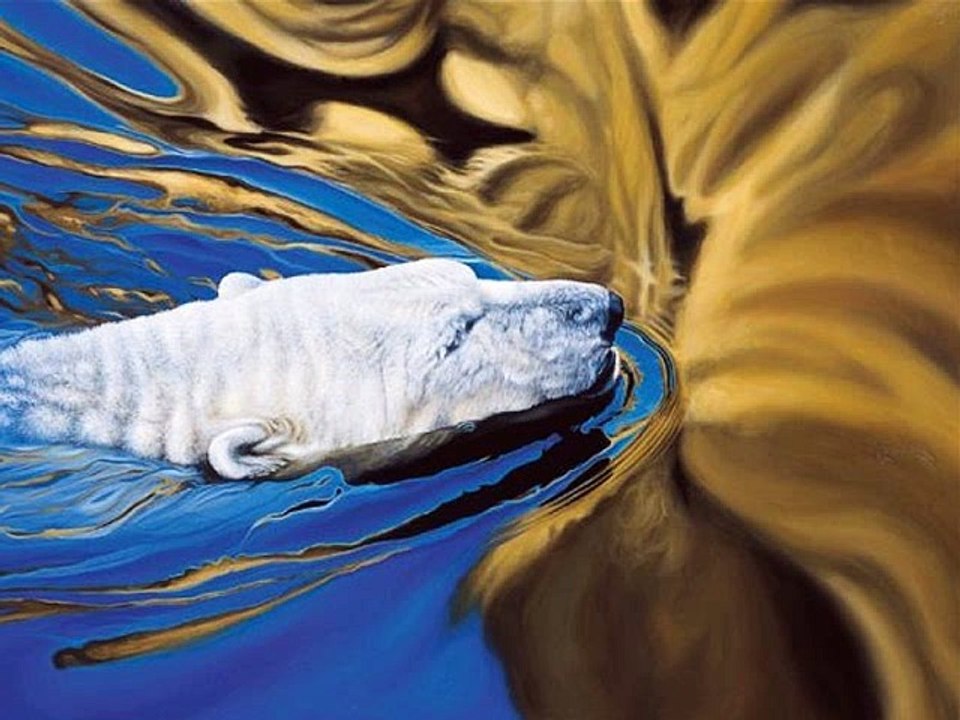 Ki? - Des poils, des plumes, des yeux