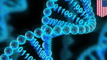 DNA sebagai tempat penyimpanan data - Proyek ambisius Microsoft - Tomonews
