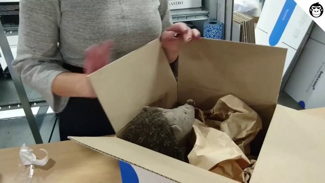 Welk traject legt een pakje dat we online bestellen af? Een blik achter de schermen bij bol.com