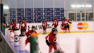 255.Toronto Maple Leafs Development Camp - Sport Chek