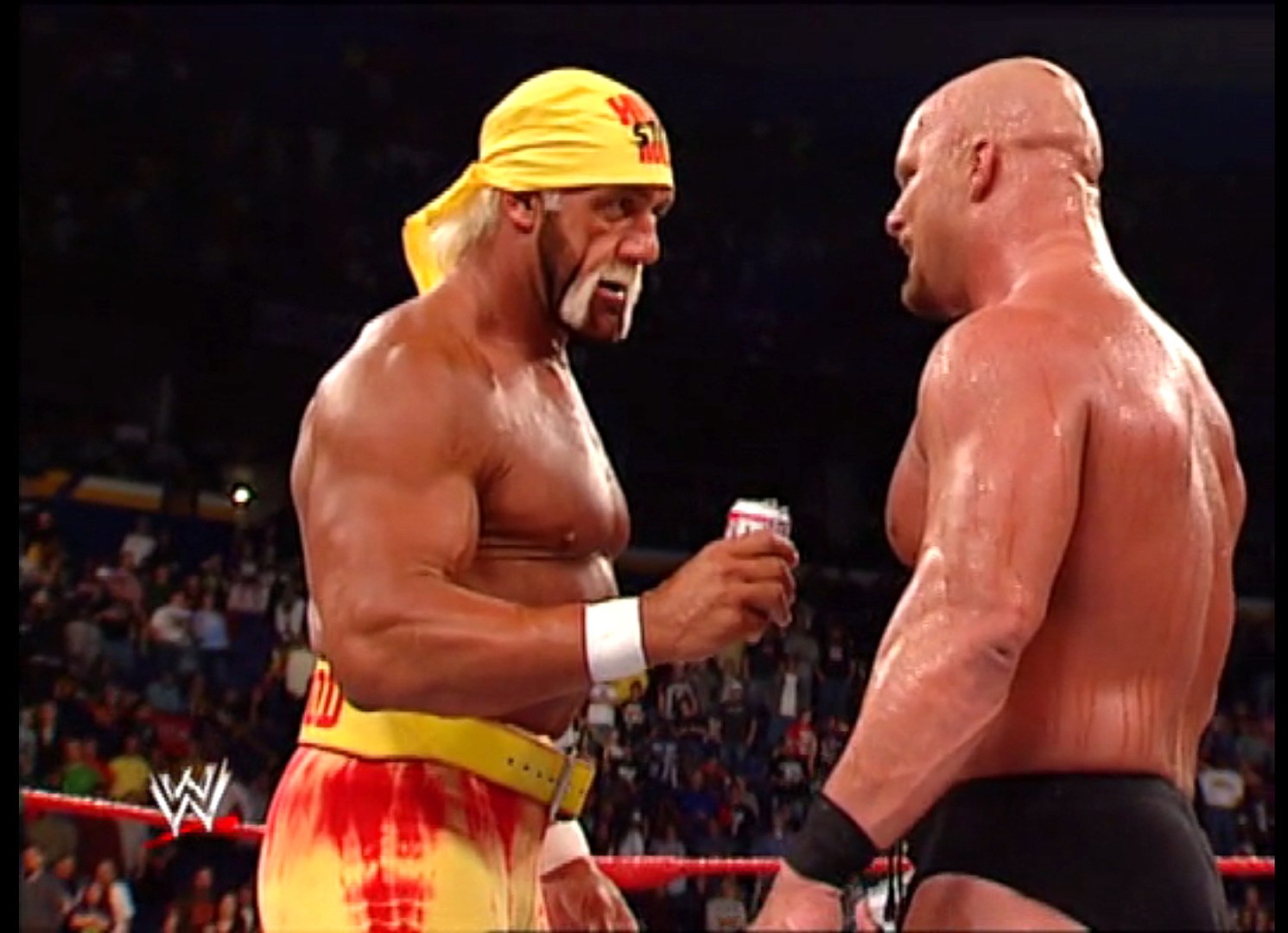 uvidenhed lejer moderat Hulk Hogan & Steve Austin Drinking Beer (WWF 2002) - video Dailymotion