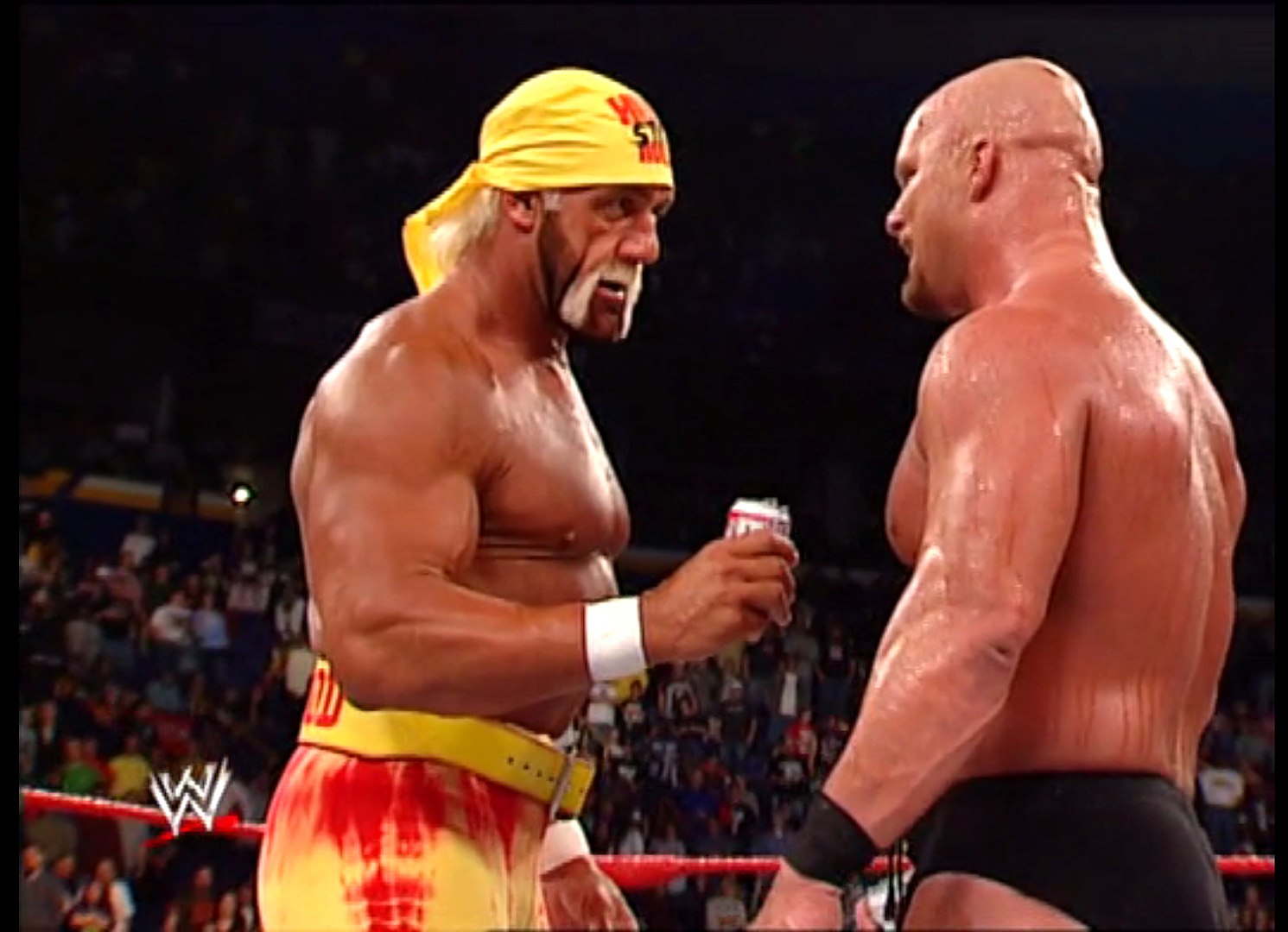 Why Stone Cold Vs Hulk Hogan Wwe Dream Match Never Happened