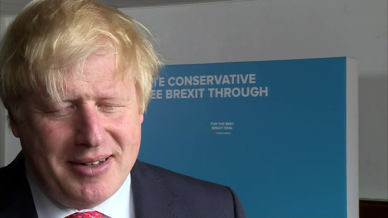 Johnson didn't mean to be 'disobliging' with mugwump comment