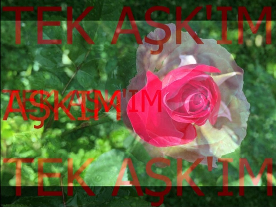 Serap Mutlu Akbulut-Her Gece Yollarda Gözledim Seni