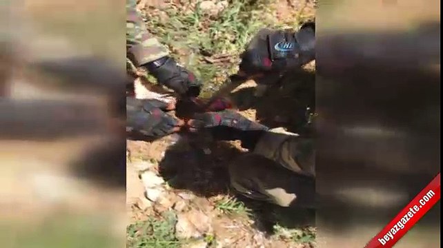 TSK’dan Hakkari ve Bitlis kırsalına hava harekatı