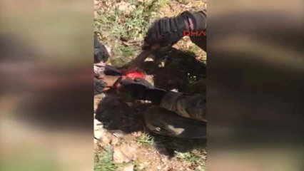 Şemdinli ve Yüksekova'da 2 El Yapımı Patlayıcı Imha Edildi